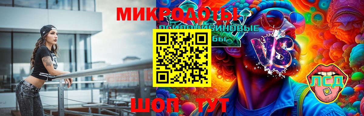 Камышин  наркотики  Вход с VPN  Псилоцибиновые грибы Magic Shrooms 